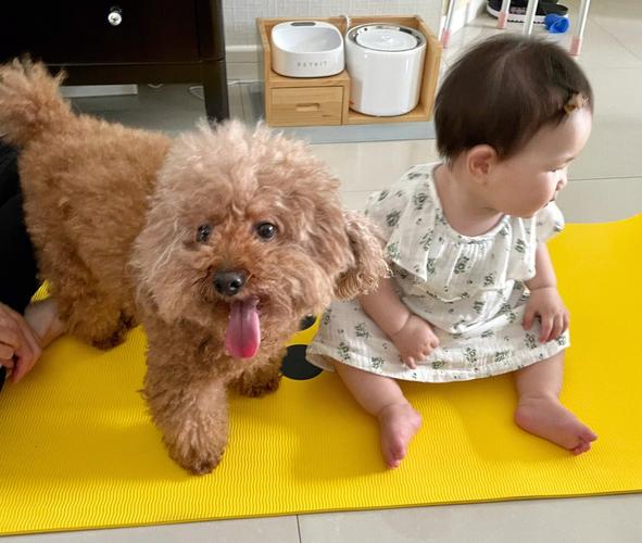 为什么猫咪喜欢小婴儿,为什么猫咪喜欢小婴儿呢-第5张图片-后鲨宠物 为什么猫咪喜欢小婴儿,为什么猫咪喜欢小婴儿呢-第5张图片-后鲨宠物