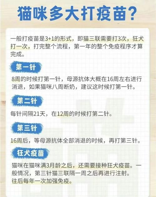 猫咪打几针疫苗,猫咪打几针疫苗可以出门?-第4张图片-后鲨宠物 猫咪打几针疫苗,猫咪打几针疫苗可以出门?-第4张图片-后鲨宠物