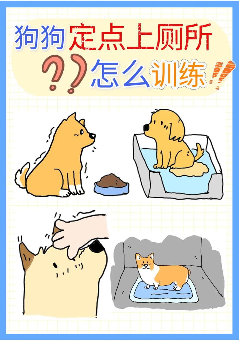 如何教狗狗上厕所,怎么教狗狗上厕?-第2张图片-后鲨宠物 如何教狗狗上厕所,怎么教狗狗上厕?-第2张图片-后鲨宠物