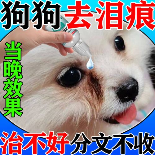狗狗流眼泪用啥眼药水_狗狗总淌眼泪吃什么药-第2张图片-后鲨宠物 狗狗流眼泪用啥眼药水_狗狗总淌眼泪吃什么药-第2张图片-后鲨宠物