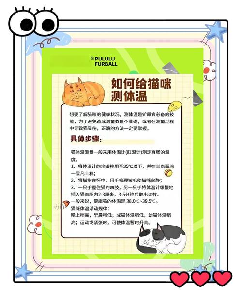 怎么给猫咪量体温,怎么给猫咪量体温最准确-第1张图片-后鲨宠物 怎么给猫咪量体温,怎么给猫咪量体温最准确-第1张图片-后鲨宠物