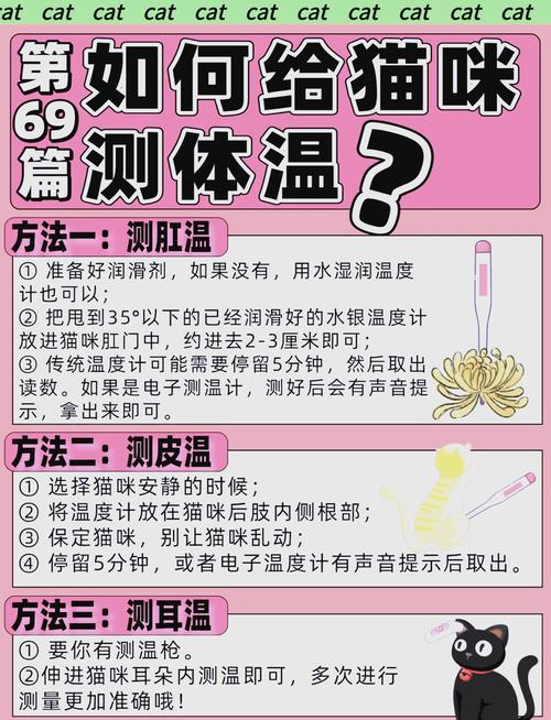 怎么给猫咪量体温,怎么给猫咪量体温最准确-第4张图片-后鲨宠物 怎么给猫咪量体温,怎么给猫咪量体温最准确-第4张图片-后鲨宠物