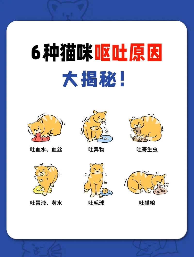 猫咪老是吐是什么原因,猫咪总是吐咋回事-第2张图片-后鲨宠物 猫咪老是吐是什么原因,猫咪总是吐咋回事-第2张图片-后鲨宠物