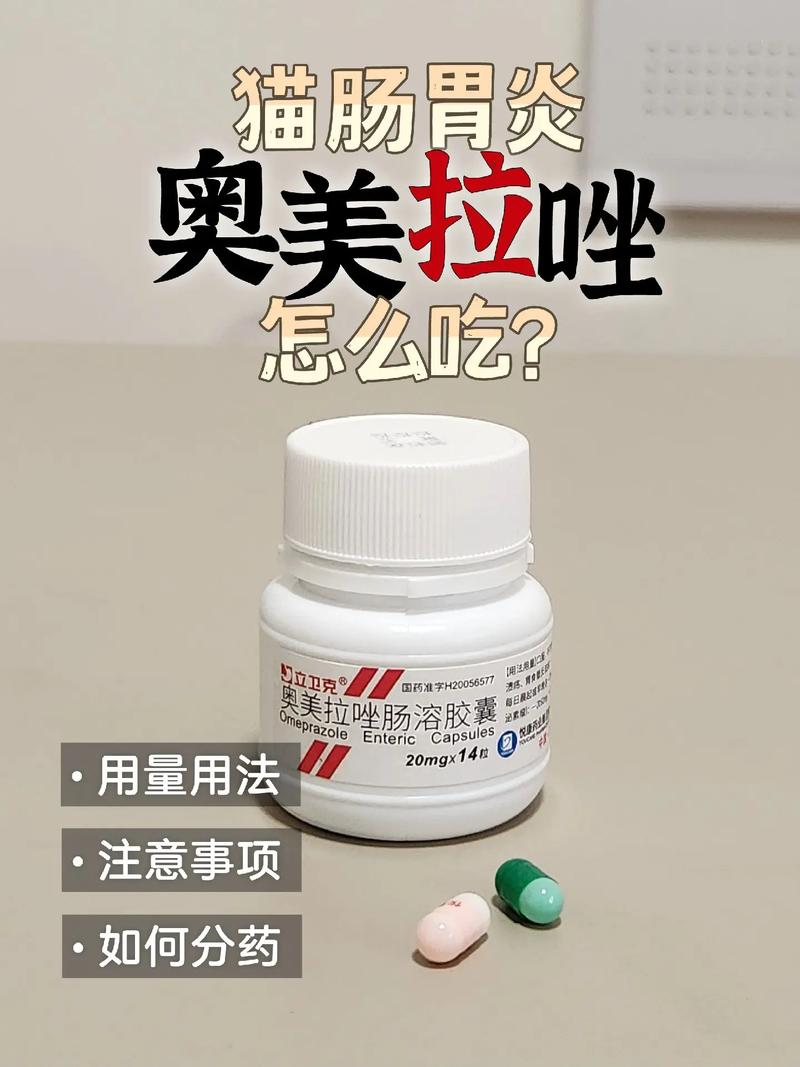 猫咪老是吐是什么原因,猫咪总是吐咋回事-第6张图片-后鲨宠物 猫咪老是吐是什么原因,猫咪总是吐咋回事-第6张图片-后鲨宠物