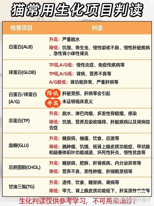 猫咪生化检查是什么_猫咪生化全套检查项目-第3张图片-后鲨宠物 猫咪生化检查是什么_猫咪生化全套检查项目-第3张图片-后鲨宠物
