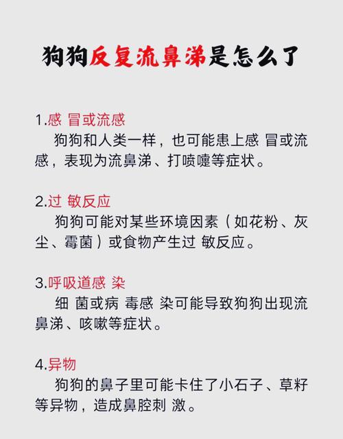 狗狗感冒拉稀怎么办_狗狗有点感冒和拉肚怎么办-第1张图片-后鲨宠物 狗狗感冒拉稀怎么办_狗狗有点感冒和拉肚怎么办-第1张图片-后鲨宠物