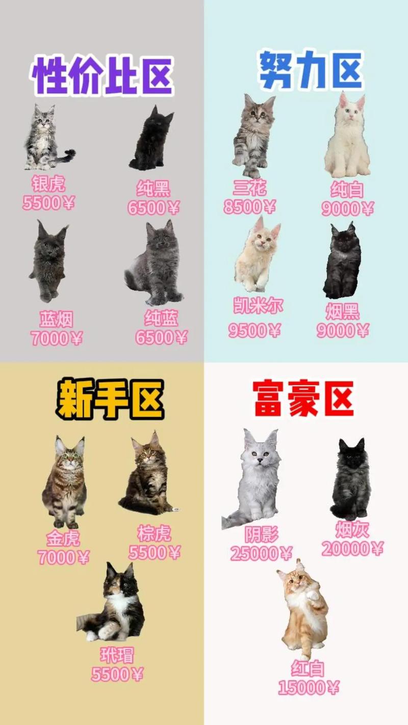 猫咪托运需要多少钱_寄猫咪用什么托运多少钱-第5张图片-后鲨宠物 猫咪托运需要多少钱_寄猫咪用什么托运多少钱-第5张图片-后鲨宠物