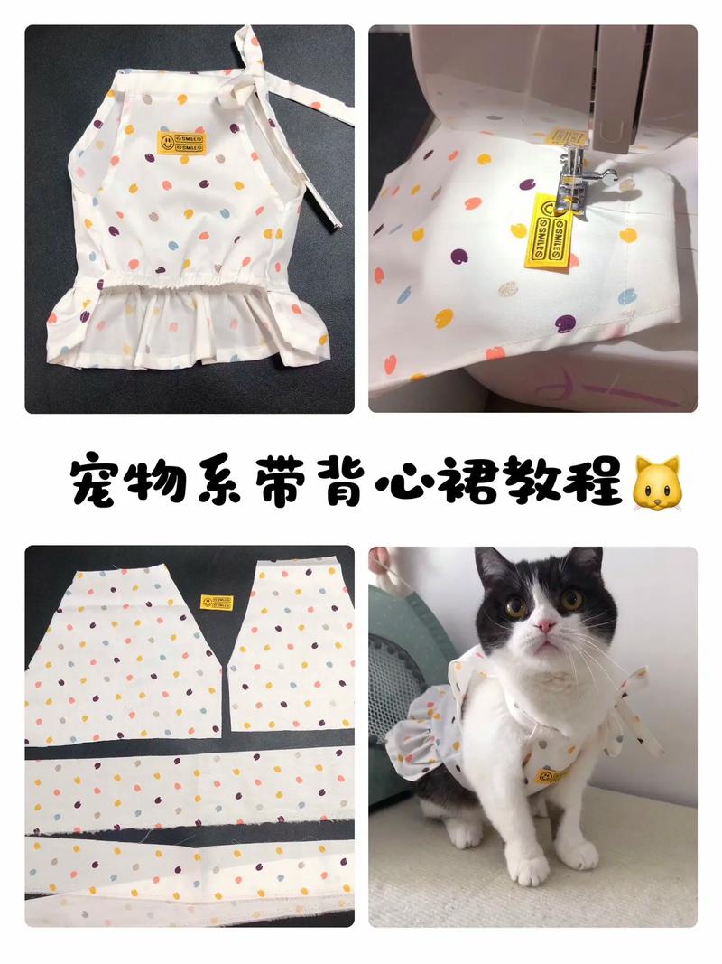 怎么给猫咪穿衣服，怎么给猫咪穿衣服心动小镇？-第1张图片-后鲨宠物