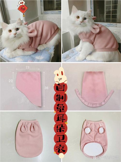 怎么给猫咪穿衣服，怎么给猫咪穿衣服心动小镇？-第4张图片-后鲨宠物