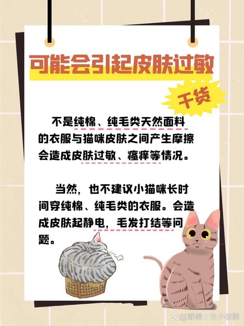 怎么给猫咪穿衣服，怎么给猫咪穿衣服心动小镇？-第5张图片-后鲨宠物