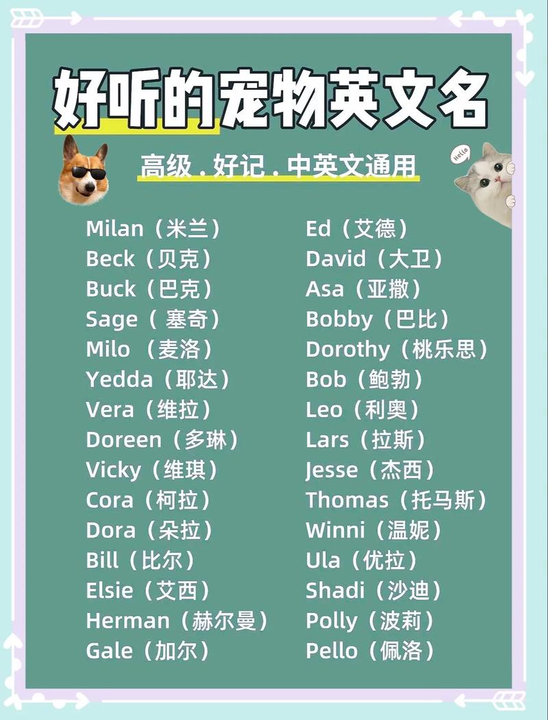 比较好听的狗狗名字,比较好听的狗狗名字大全-第4张图片-后鲨宠物 比较好听的狗狗名字,比较好听的狗狗名字大全-第4张图片-后鲨宠物