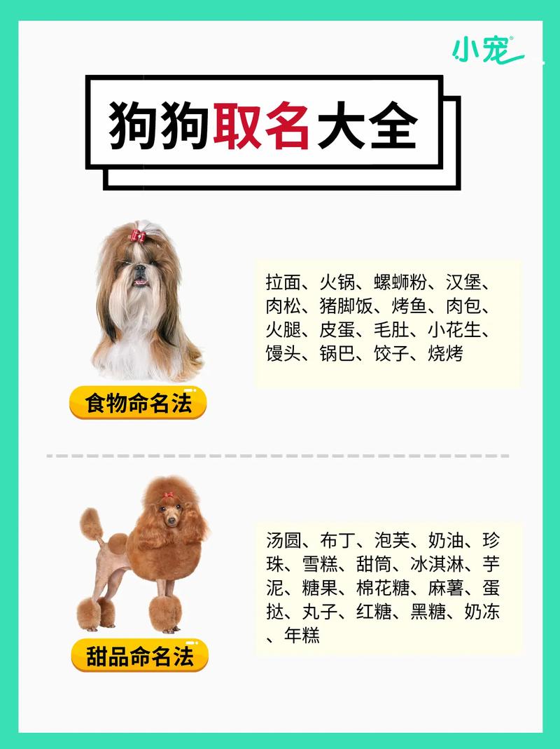 比较好听的狗狗名字,比较好听的狗狗名字大全-第6张图片-后鲨宠物 比较好听的狗狗名字,比较好听的狗狗名字大全-第6张图片-后鲨宠物