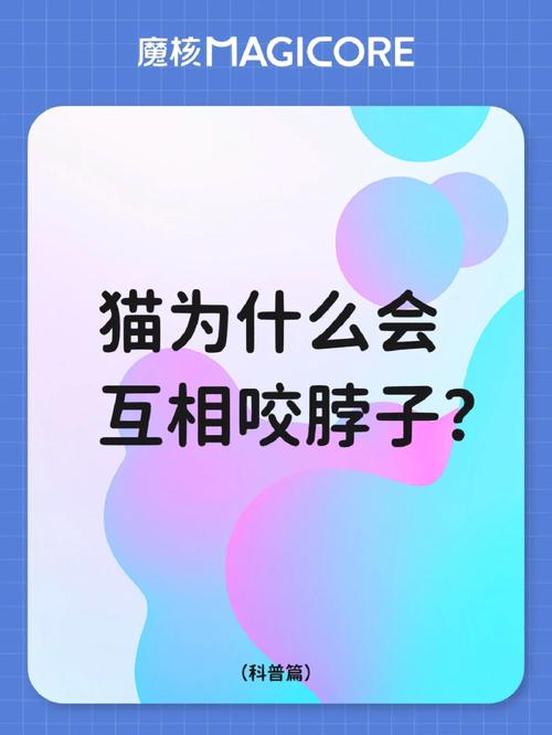 猫咪交配为什么咬脖子,为什么猫交配要咬住母猫后颈脖-第3张图片-后鲨宠物 猫咪交配为什么咬脖子,为什么猫交配要咬住母猫后颈脖-第3张图片-后鲨宠物