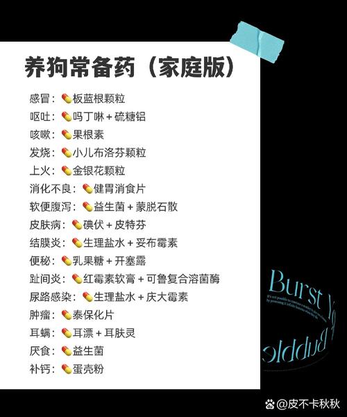 狗狗便秘吃什么药,狗狗便秘怎么办最快最有效-第5张图片-后鲨宠物 狗狗便秘吃什么药,狗狗便秘怎么办最快最有效-第5张图片-后鲨宠物