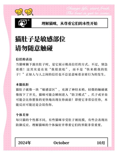 猫咪为什么不让摸肚子,猫咪为何不让摸肚子-第5张图片-后鲨宠物 猫咪为什么不让摸肚子,猫咪为何不让摸肚子-第5张图片-后鲨宠物