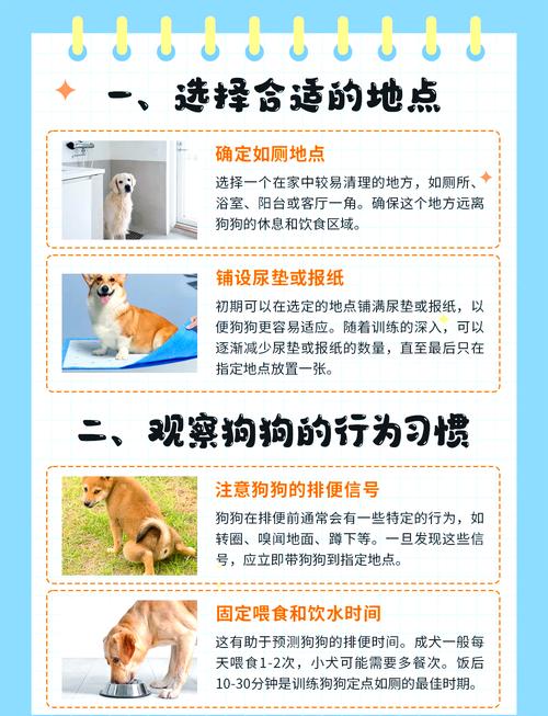 狗狗定点如厕训练秘籍,教会狗狗定点大小便的最有效的方法?-第3张图片-后鲨宠物 狗狗定点如厕训练秘籍,教会狗狗定点大小便的最有效的方法?-第3张图片-后鲨宠物