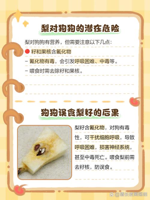 狗狗可不可以吃梨_狗狗能吃梨吗?-第3张图片-后鲨宠物 狗狗可不可以吃梨_狗狗能吃梨吗?-第3张图片-后鲨宠物