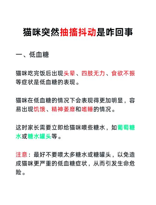 猫咪肚子抽搐怎么回事,猫咪肚子抽搐是什么情况-第2张图片-后鲨宠物 猫咪肚子抽搐怎么回事,猫咪肚子抽搐是什么情况-第2张图片-后鲨宠物
