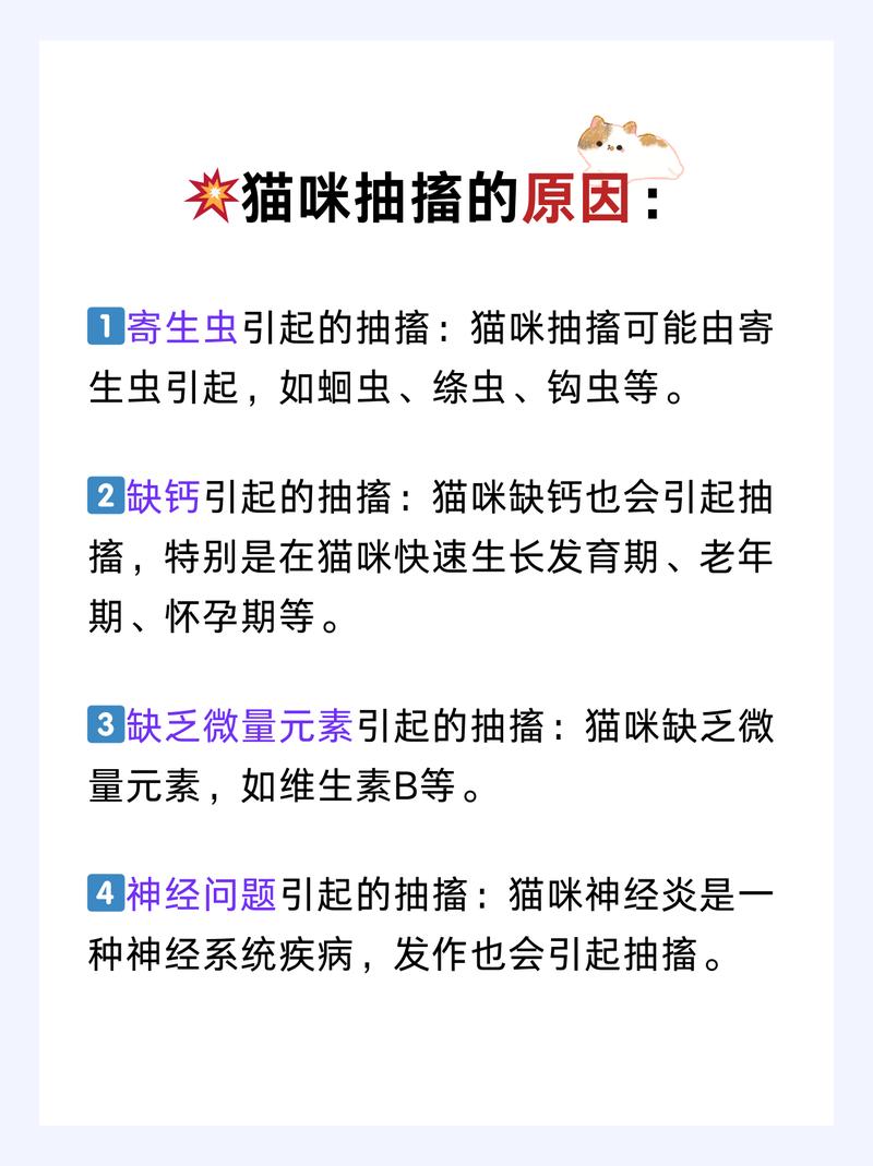 猫咪肚子抽搐怎么回事,猫咪肚子抽搐是什么情况-第3张图片-后鲨宠物 猫咪肚子抽搐怎么回事,猫咪肚子抽搐是什么情况-第3张图片-后鲨宠物