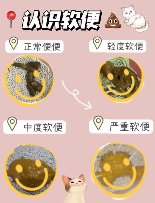 猫猫不拉屎怎么办,猫猫不拉屎怎么处理?-第2张图片-后鲨宠物 猫猫不拉屎怎么办,猫猫不拉屎怎么处理?-第2张图片-后鲨宠物