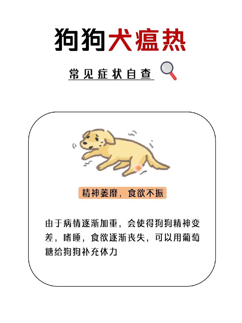 狗狗犬瘟前期症状,狗狗犬瘟前期症状有哪些?-第3张图片-后鲨宠物 狗狗犬瘟前期症状,狗狗犬瘟前期症状有哪些?-第3张图片-后鲨宠物