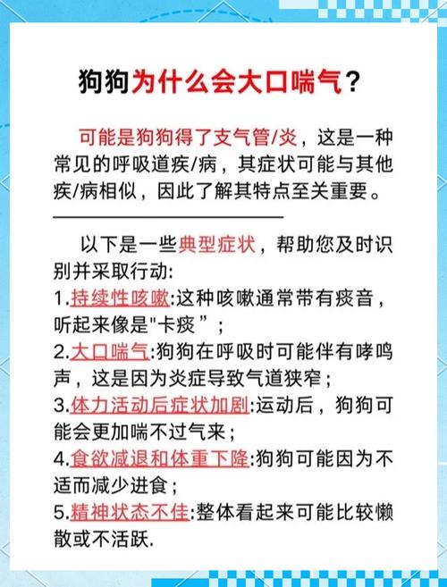 狗狗大口喘气怎么回事_狗狗大口喘气怎么回事趴不下去了-第4张图片-后鲨宠物 狗狗大口喘气怎么回事_狗狗大口喘气怎么回事趴不下去了-第4张图片-后鲨宠物