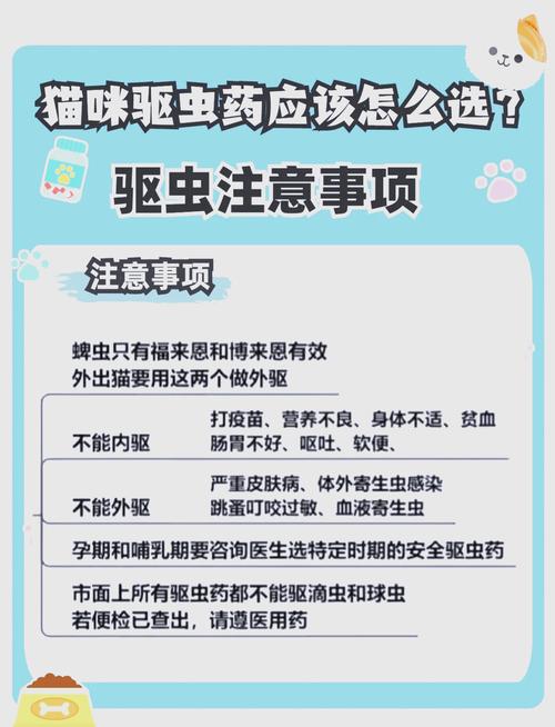 猫咪体内外驱虫怎么做_猫咪体内外驱虫怎么操作-第1张图片-后鲨宠物 猫咪体内外驱虫怎么做_猫咪体内外驱虫怎么操作-第1张图片-后鲨宠物