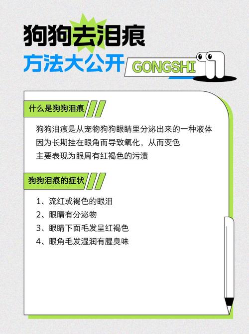 狗狗泪腺堵塞怎么办_狗狗泪道堵塞怎么办-第4张图片-后鲨宠物 狗狗泪腺堵塞怎么办_狗狗泪道堵塞怎么办-第4张图片-后鲨宠物