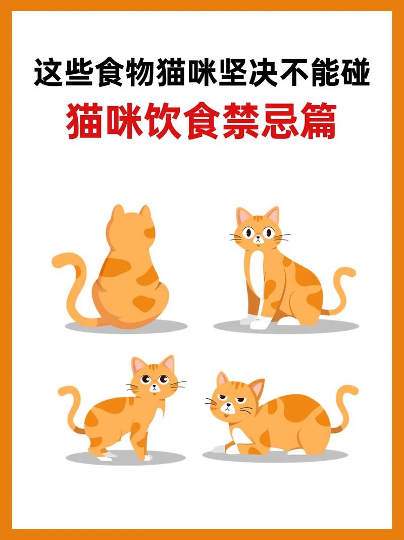 猫咪只吃猫粮怎么办,猫只吃猫粮正常吗?-第4张图片-后鲨宠物 猫咪只吃猫粮怎么办,猫只吃猫粮正常吗?-第4张图片-后鲨宠物
