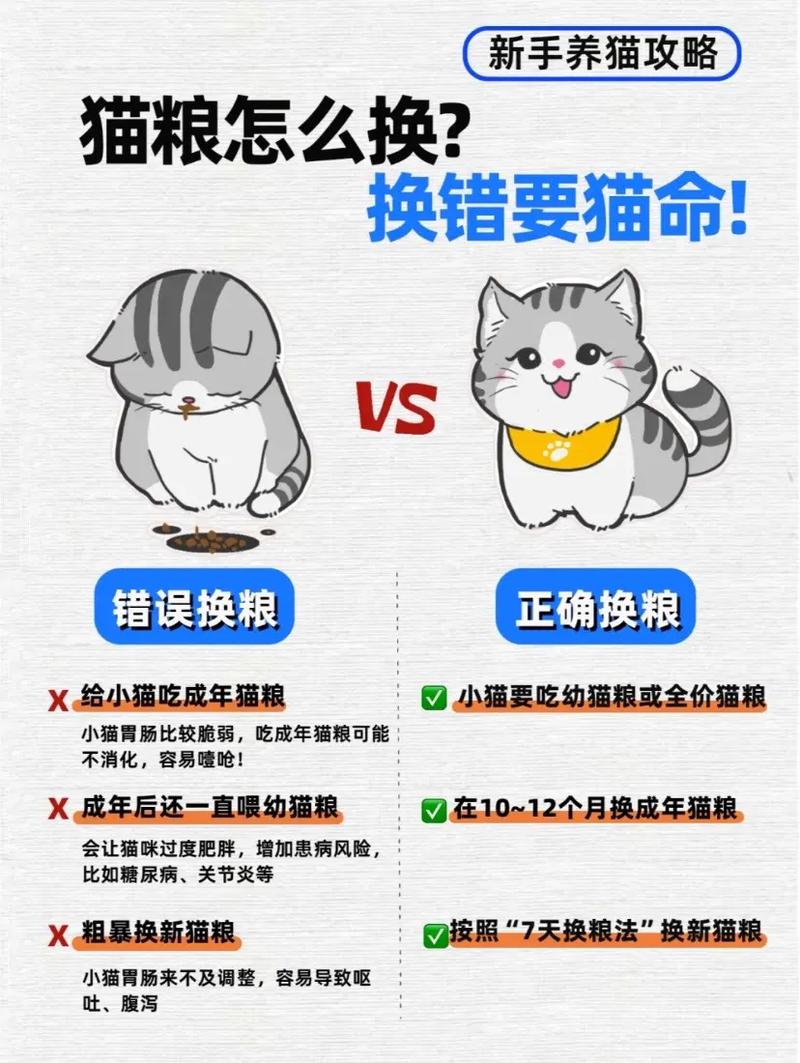 猫咪只吃猫粮怎么办,猫只吃猫粮正常吗?-第5张图片-后鲨宠物 猫咪只吃猫粮怎么办,猫只吃猫粮正常吗?-第5张图片-后鲨宠物