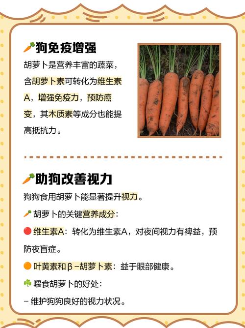 狗狗吃胡萝卜好吗_狗狗吃胡萝卜的好处-第3张图片-后鲨宠物 狗狗吃胡萝卜好吗_狗狗吃胡萝卜的好处-第3张图片-后鲨宠物
