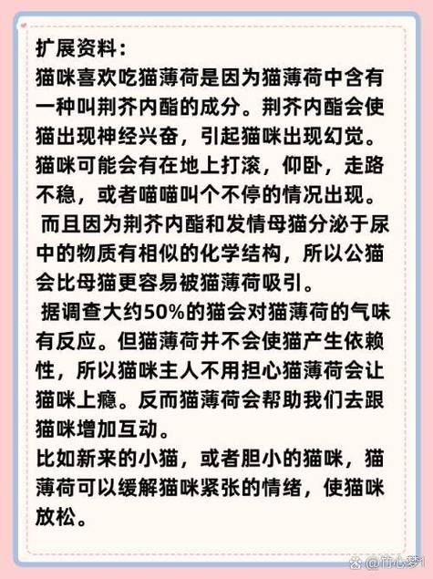 猫薄荷对猫咪的害处,猫薄荷对猫咪的害处有哪些?-第4张图片-后鲨宠物 猫薄荷对猫咪的害处,猫薄荷对猫咪的害处有哪些?-第4张图片-后鲨宠物