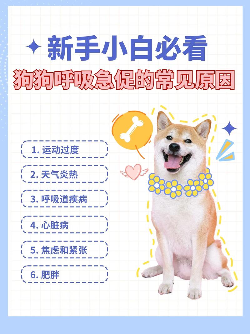 为什么狗狗呼吸很急促,狗狗为什么会 呼吸特别急促-第4张图片-后鲨宠物 为什么狗狗呼吸很急促,狗狗为什么会 呼吸特别急促-第4张图片-后鲨宠物