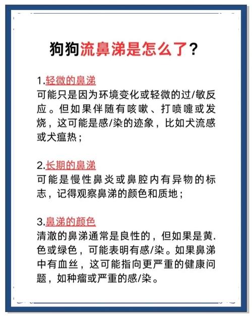 狗狗鼻炎怎么办,狗狗鼻炎怎么办??-第2张图片-后鲨宠物 狗狗鼻炎怎么办,狗狗鼻炎怎么办??-第2张图片-后鲨宠物