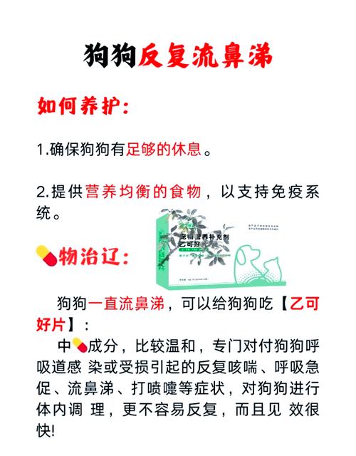 狗狗鼻炎怎么办,狗狗鼻炎怎么办??-第5张图片-后鲨宠物 狗狗鼻炎怎么办,狗狗鼻炎怎么办??-第5张图片-后鲨宠物