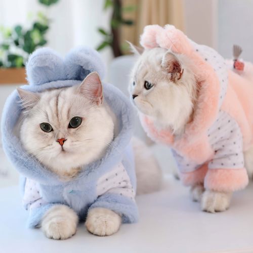  手工猫咪衣服怎么做，手工做猫的衣服裁剪图纸-第4张图片-后鲨宠物