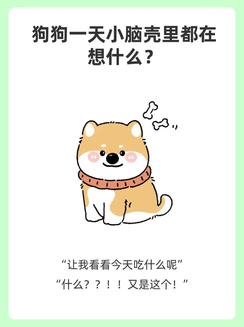 狗狗都在想什么,狗狗都在想什么东西-第5张图片-后鲨宠物 狗狗都在想什么,狗狗都在想什么东西-第5张图片-后鲨宠物