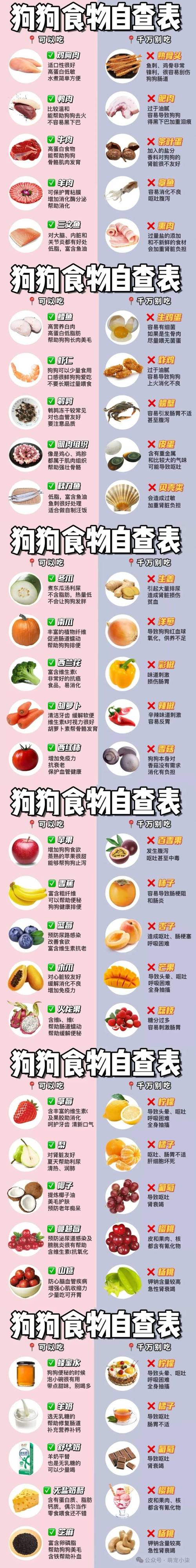 狗狗都在想什么,狗狗都在想什么东西-第6张图片-后鲨宠物 狗狗都在想什么,狗狗都在想什么东西-第6张图片-后鲨宠物