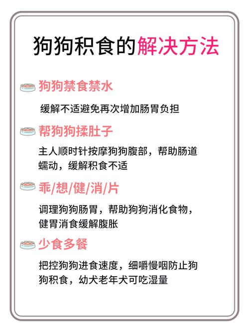 狗狗可以吃健胃消食片吗_狗狗可以吃健胃消食片吗?-第2张图片-后鲨宠物 狗狗可以吃健胃消食片吗_狗狗可以吃健胃消食片吗?-第2张图片-后鲨宠物