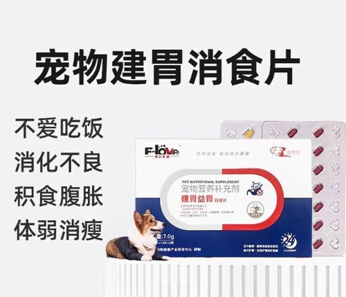 狗狗可以吃健胃消食片吗_狗狗可以吃健胃消食片吗?-第4张图片-后鲨宠物 狗狗可以吃健胃消食片吗_狗狗可以吃健胃消食片吗?-第4张图片-后鲨宠物