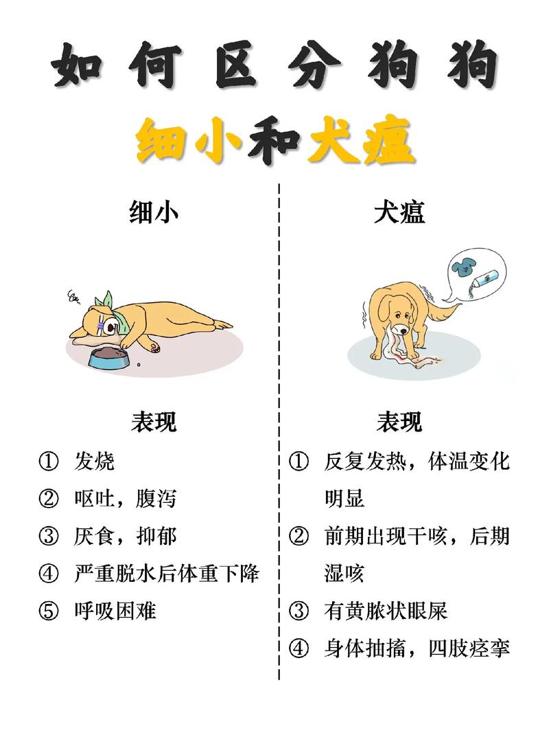 狗狗得了细小的症状,狗狗得了细小的症状怎么治疗?-第4张图片-后鲨宠物 狗狗得了细小的症状,狗狗得了细小的症状怎么治疗?-第4张图片-后鲨宠物
