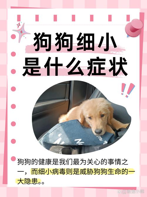 狗狗得了细小的症状,狗狗得了细小的症状怎么治疗?-第6张图片-后鲨宠物 狗狗得了细小的症状,狗狗得了细小的症状怎么治疗?-第6张图片-后鲨宠物