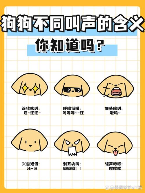 狗狗嗷呜是什么意思,狗狗嗷呜嗷呜-第5张图片-后鲨宠物 狗狗嗷呜是什么意思,狗狗嗷呜嗷呜-第5张图片-后鲨宠物