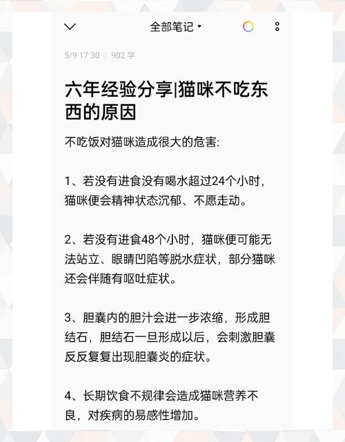 猫咪呕吐后不吃东西怎么办_猫咪呕吐不吃东西怎么办,精神也不好-第5张图片-后鲨宠物 猫咪呕吐后不吃东西怎么办_猫咪呕吐不吃东西怎么办,精神也不好-第5张图片-后鲨宠物