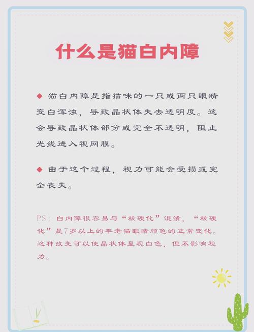 猫咪白内障怎么办,猫咪白内障图片大全-第1张图片-后鲨宠物 猫咪白内障怎么办,猫咪白内障图片大全-第1张图片-后鲨宠物
