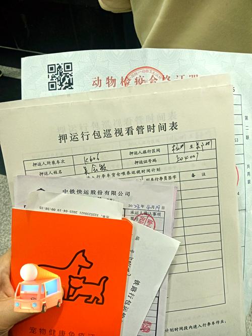 猫咪受得了火车托运吗_猫咪可以火车托运吗?-第4张图片-后鲨宠物 猫咪受得了火车托运吗_猫咪可以火车托运吗?-第4张图片-后鲨宠物