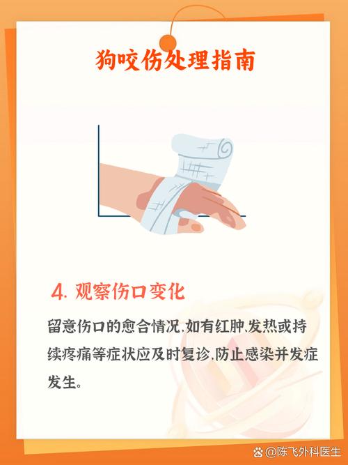狗狗吃了肥皂会怎么样_狗不小心吃了肥皂会死吗-第4张图片-后鲨宠物 狗狗吃了肥皂会怎么样_狗不小心吃了肥皂会死吗-第4张图片-后鲨宠物