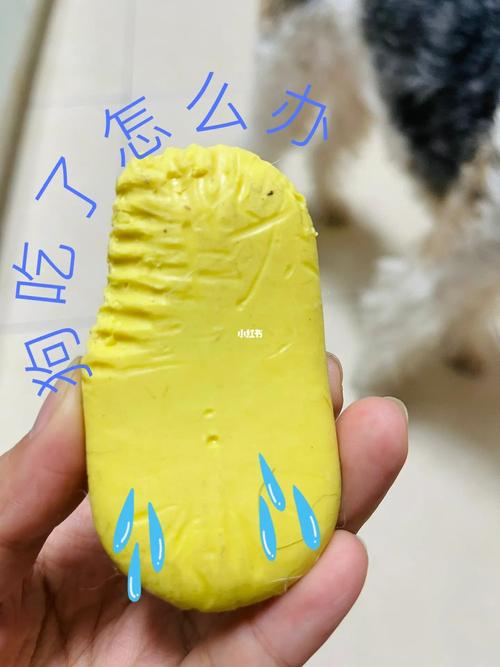 狗狗吃了肥皂会怎么样_狗不小心吃了肥皂会死吗-第5张图片-后鲨宠物 狗狗吃了肥皂会怎么样_狗不小心吃了肥皂会死吗-第5张图片-后鲨宠物