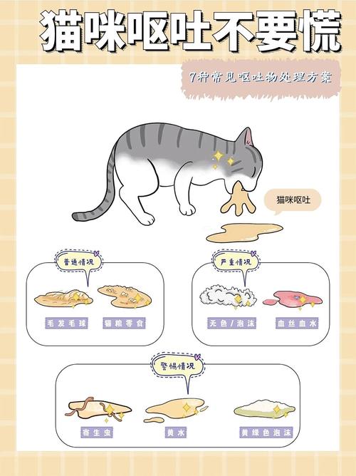 猫咪吐是怎么回事_猫咪吐黄色粘稠物是怎么回事-第3张图片-后鲨宠物 猫咪吐是怎么回事_猫咪吐黄色粘稠物是怎么回事-第3张图片-后鲨宠物