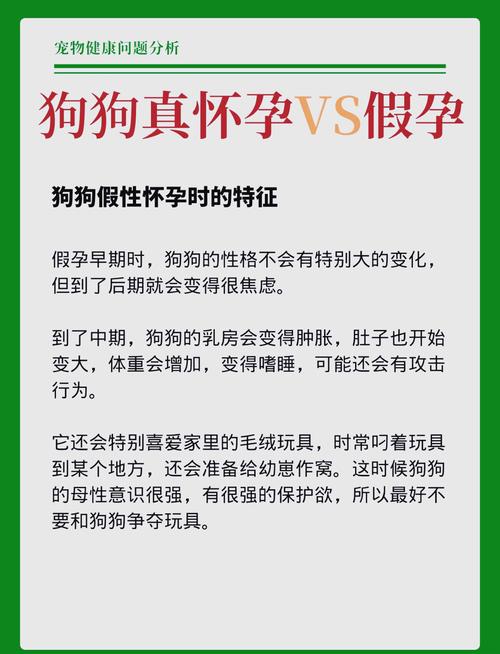 狗狗怀孕一个月的症状,狗狗怀孕1个月的症状-第1张图片-后鲨宠物 狗狗怀孕一个月的症状,狗狗怀孕1个月的症状-第1张图片-后鲨宠物